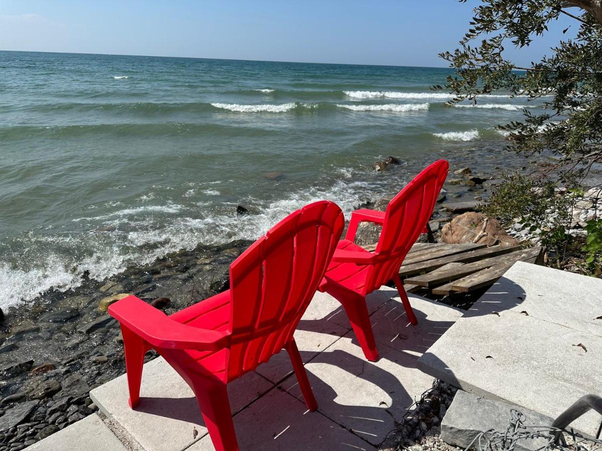 The Wind In The Willows - Luxury Lakefront Oasis Bed and Breakfast Cobourg Eksteriør billede