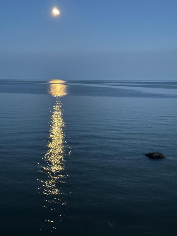 The Wind In The Willows - Luxury Lakefront Oasis Bed and Breakfast Cobourg Eksteriør billede
